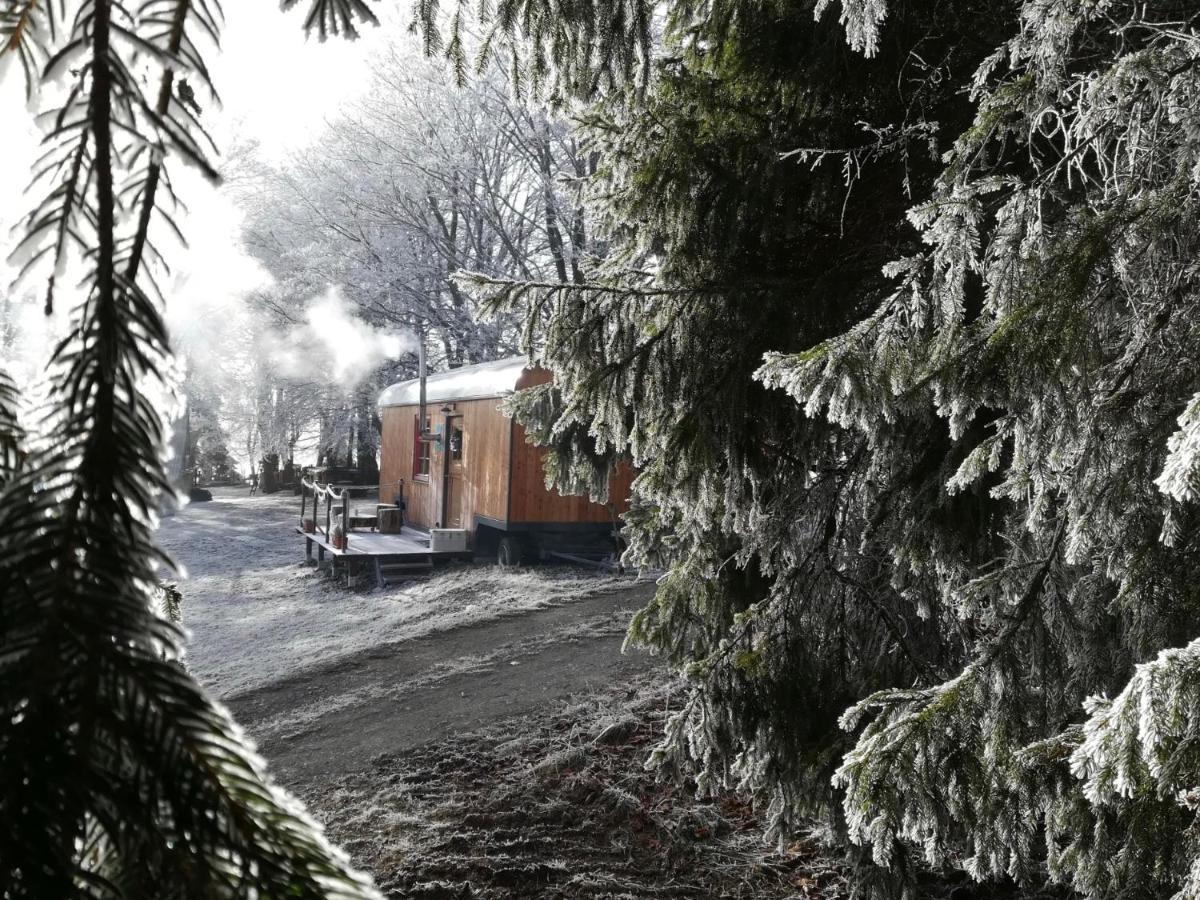 Holiday home Benno Der Wagen - Kreativ Gestaltetes Tiny House Am Waldrand Nahezu Alleinlage Rennsteig Gruenes Band Pur Hund Willkommen